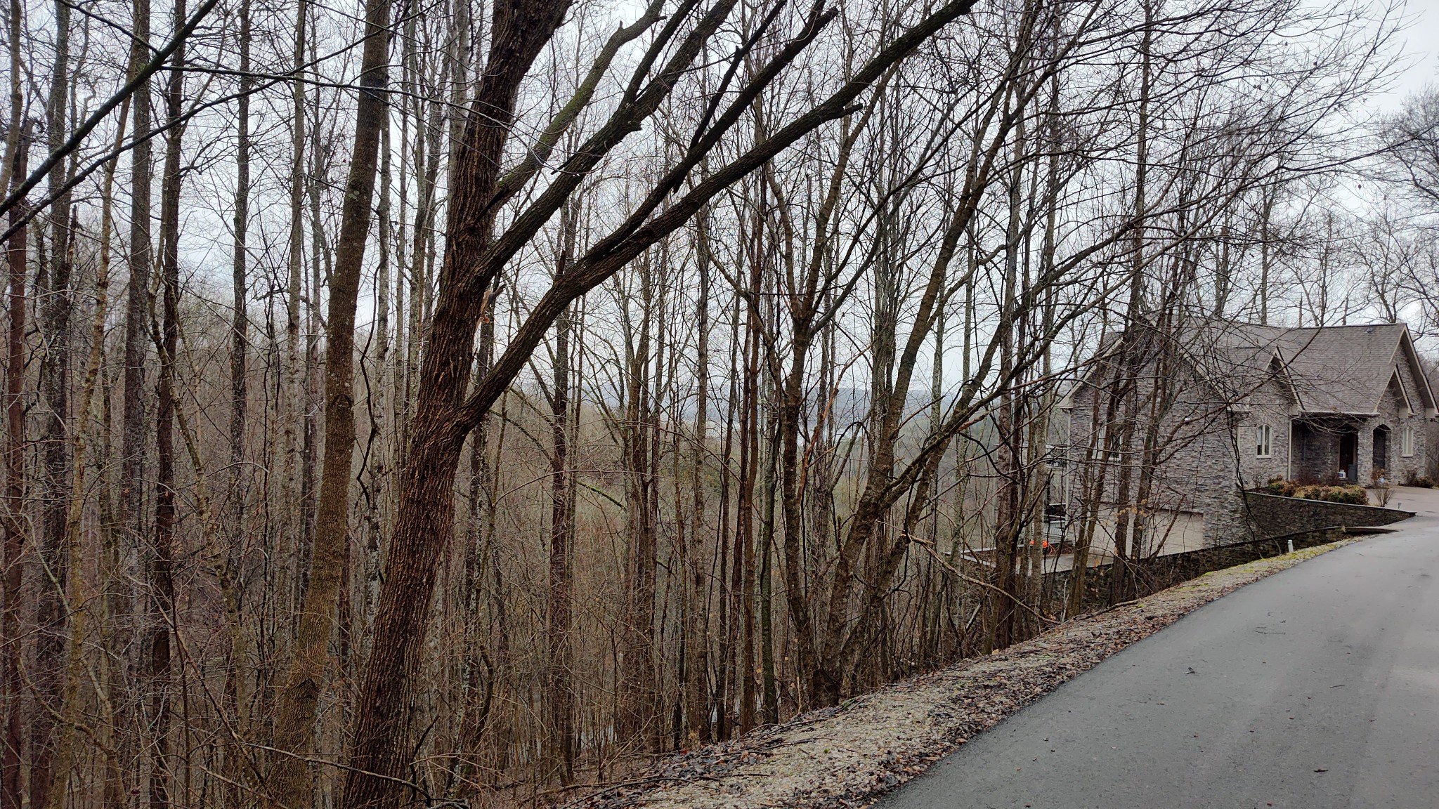 35 Bay View Drive Lancaster TN 38569
