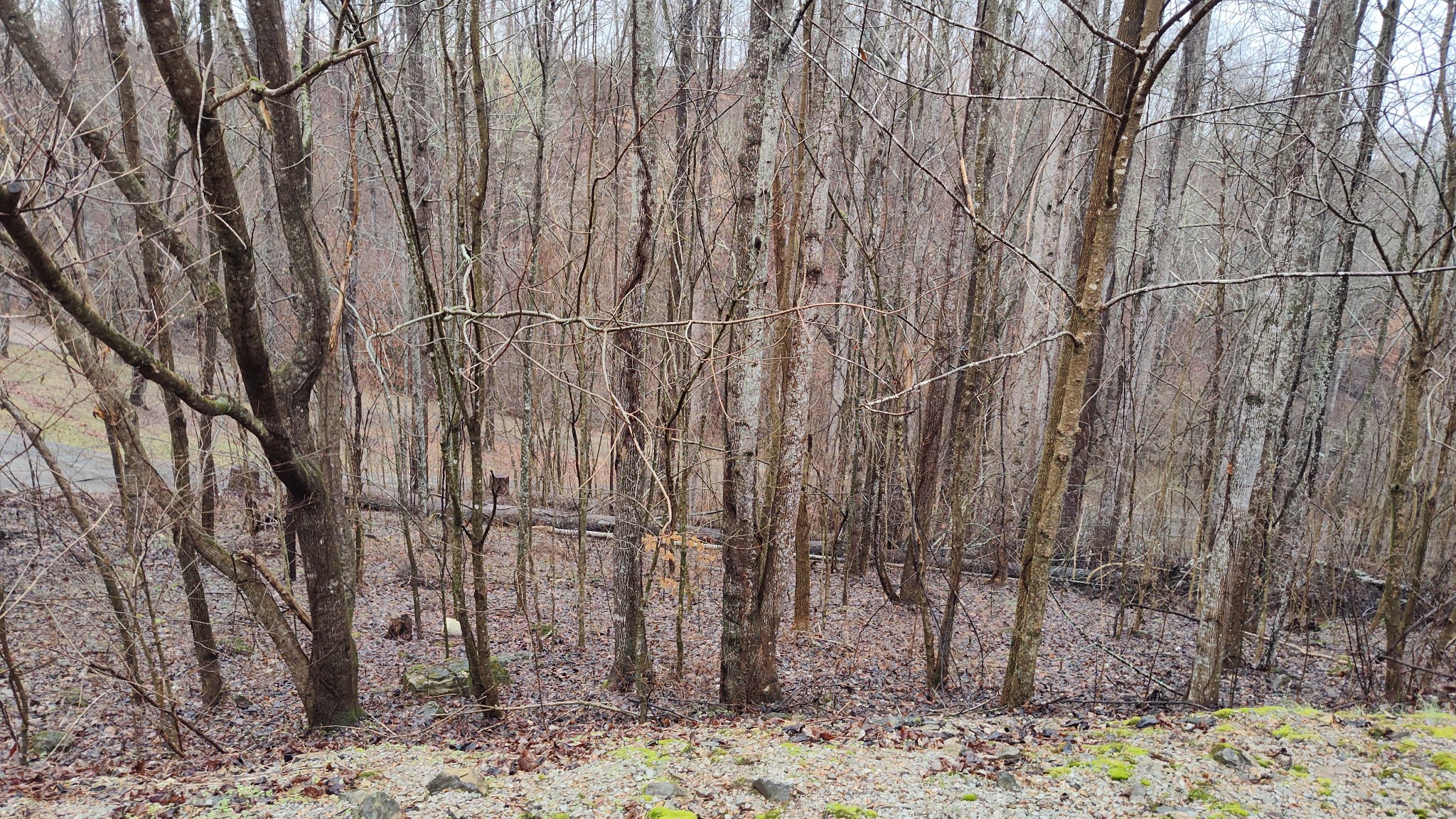 35 Bay View Drive Lancaster TN 38569