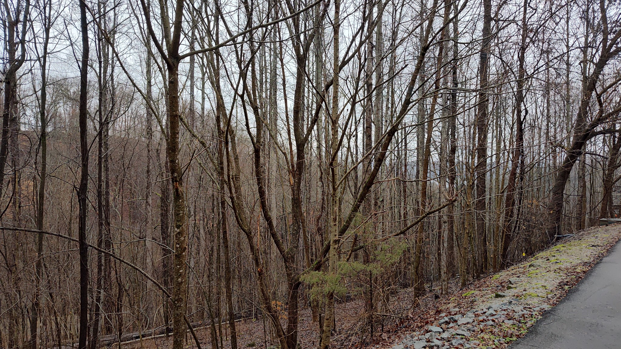 35 Bay View Drive Lancaster TN 38569