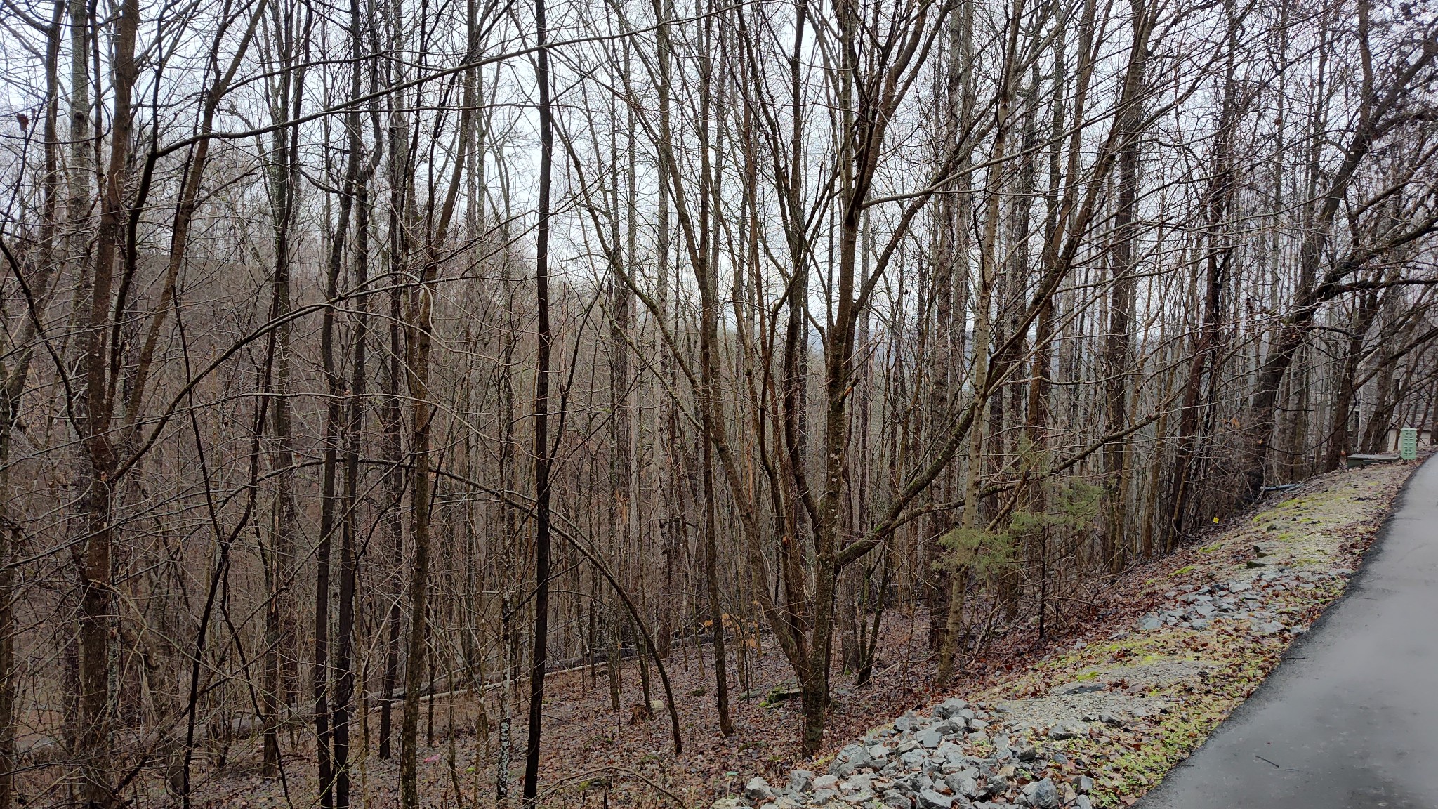 35 Bay View Drive Lancaster TN 38569