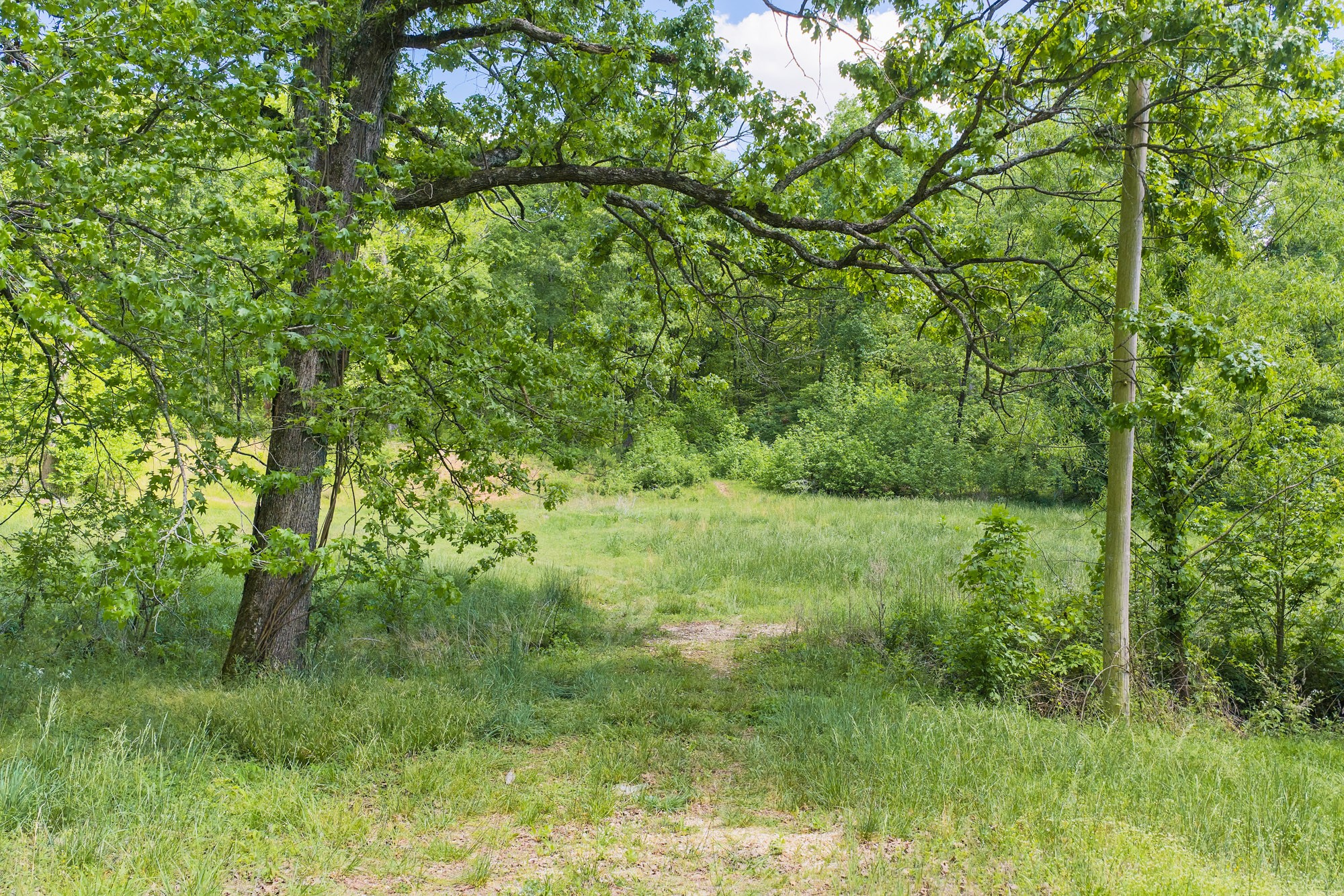 0 Red Williams Road Huntingdon TN 38344