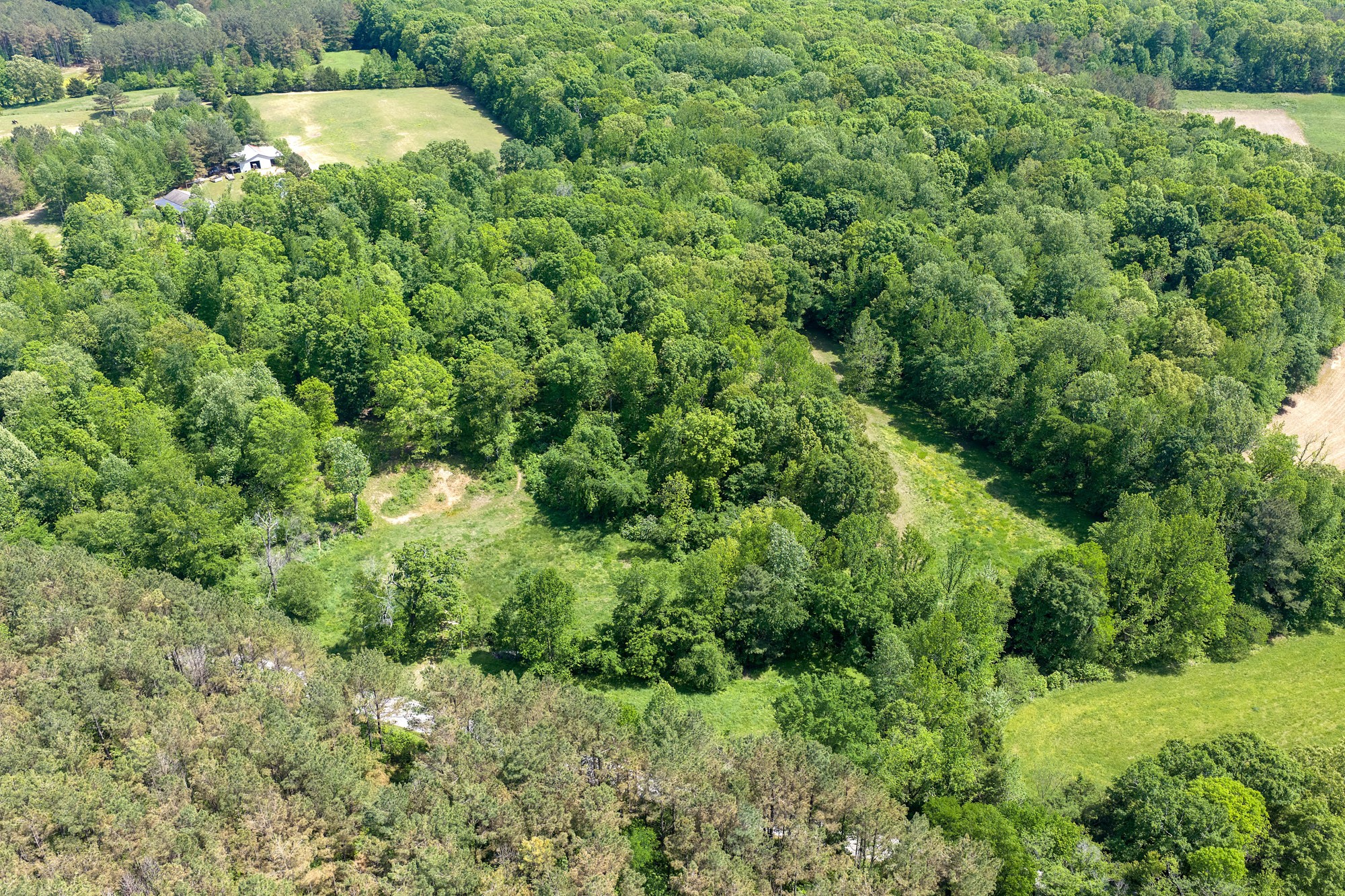 0 Red Williams Road Huntingdon TN 38344