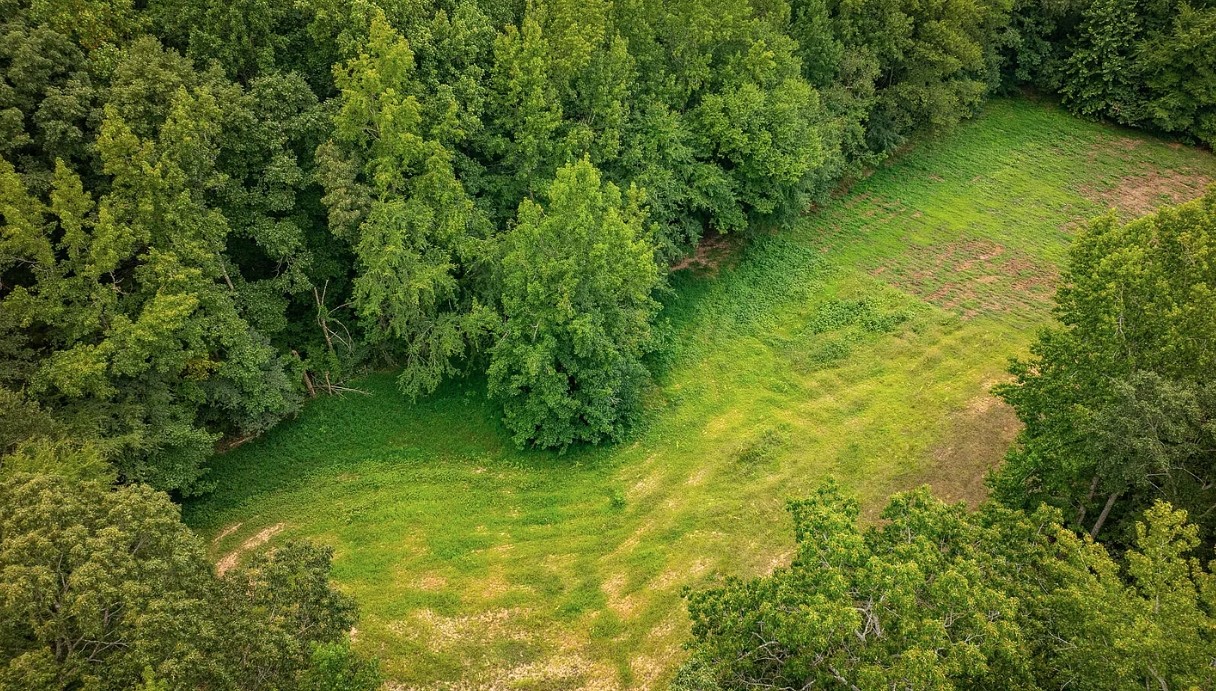 0 Red Williams Road Huntingdon TN 38344