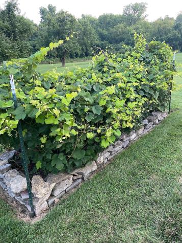 1124 Forestpointe Hendersonville TN 37075