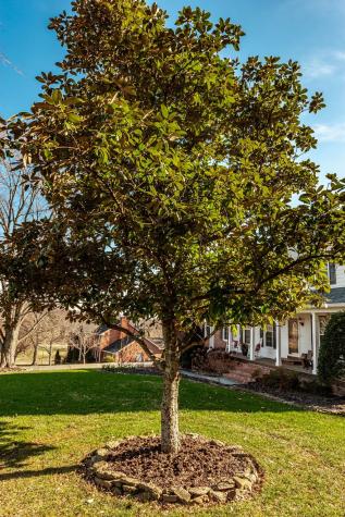 1124 Forestpointe Hendersonville TN 37075