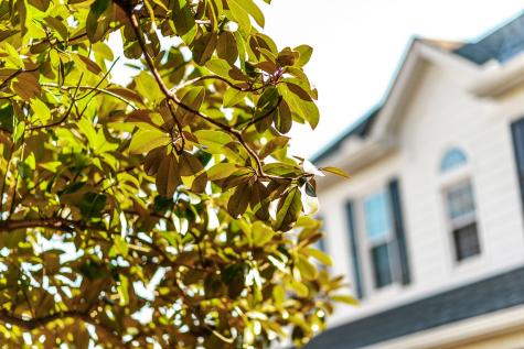 1124 Forestpointe Hendersonville TN 37075