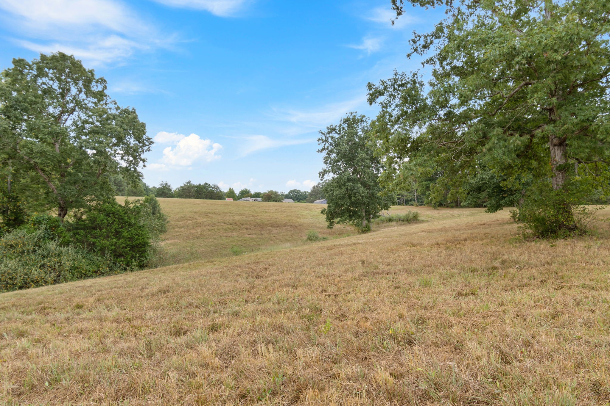 2820 Skyview Drive Centerville TN 37033