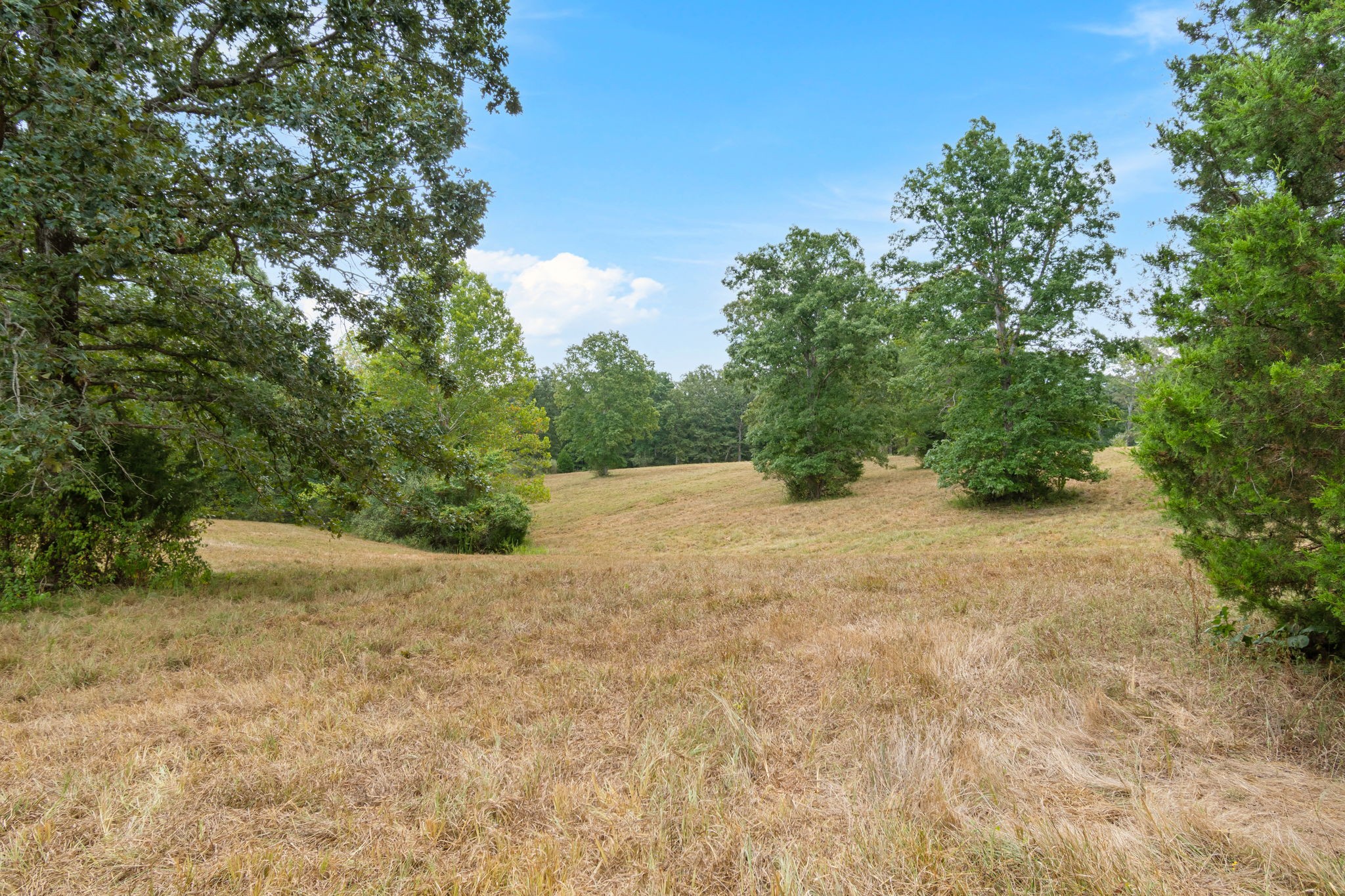 2820 Skyview Drive Centerville TN 37033