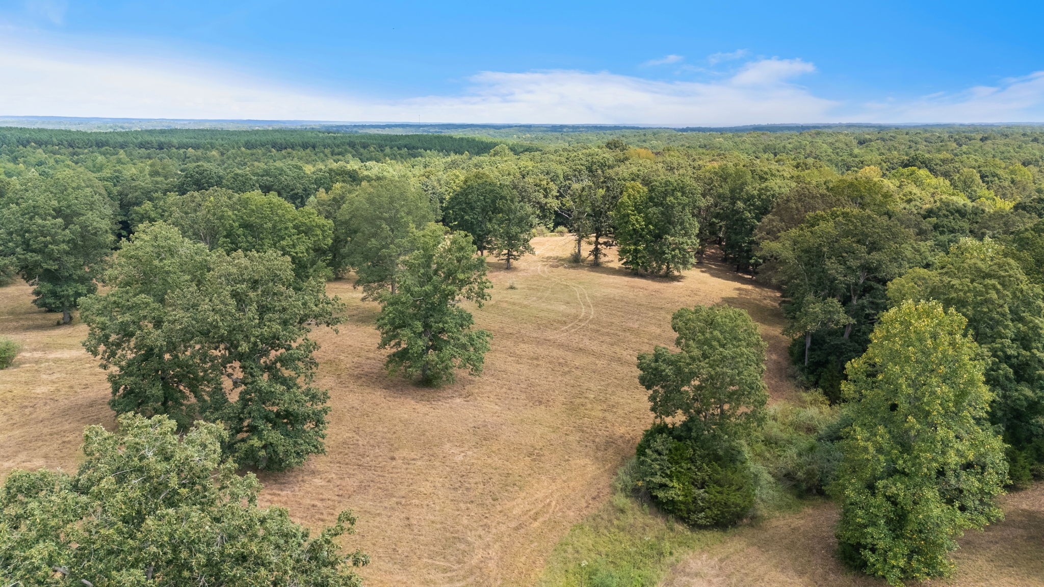 2820 Skyview Drive Centerville TN 37033