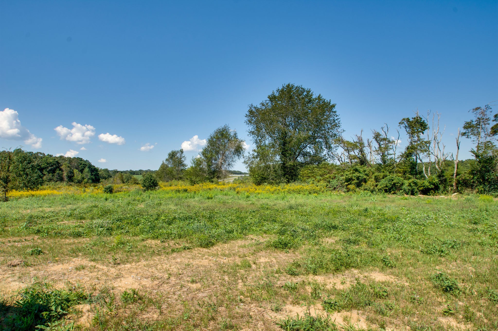946 Hunters Lane Springfield TN 37172