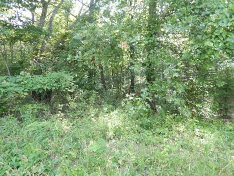 0 4th Drive Altamont TN 37301