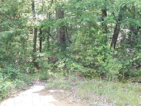 0 4th Drive Altamont TN 37301