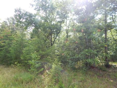 0 4th Drive Altamont TN 37301