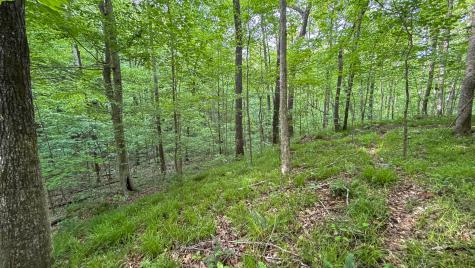 0 Murphy Hollow Trenton GA 30752