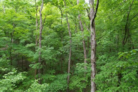0 Murphy Hollow Trenton GA 30752