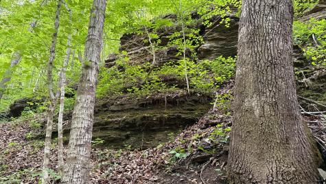 0 Murphy Hollow Trenton GA 30752