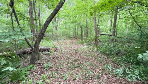 0 Murphy Hollow Trenton GA 30752