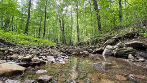 0 Murphy Hollow Trenton GA 30752