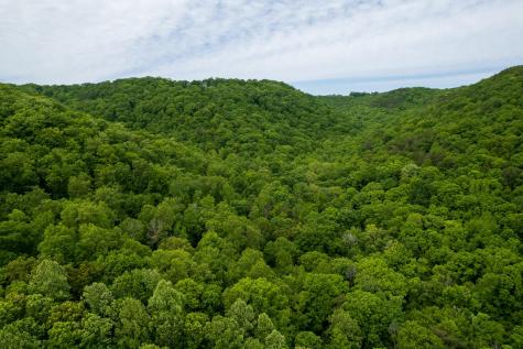0 Murphy Hollow Trenton GA 30752