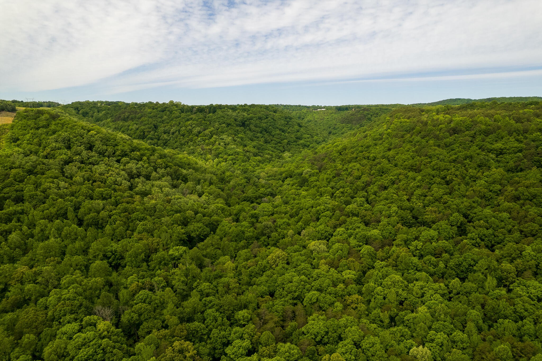 0 Murphy Hollow Trenton GA 30752
