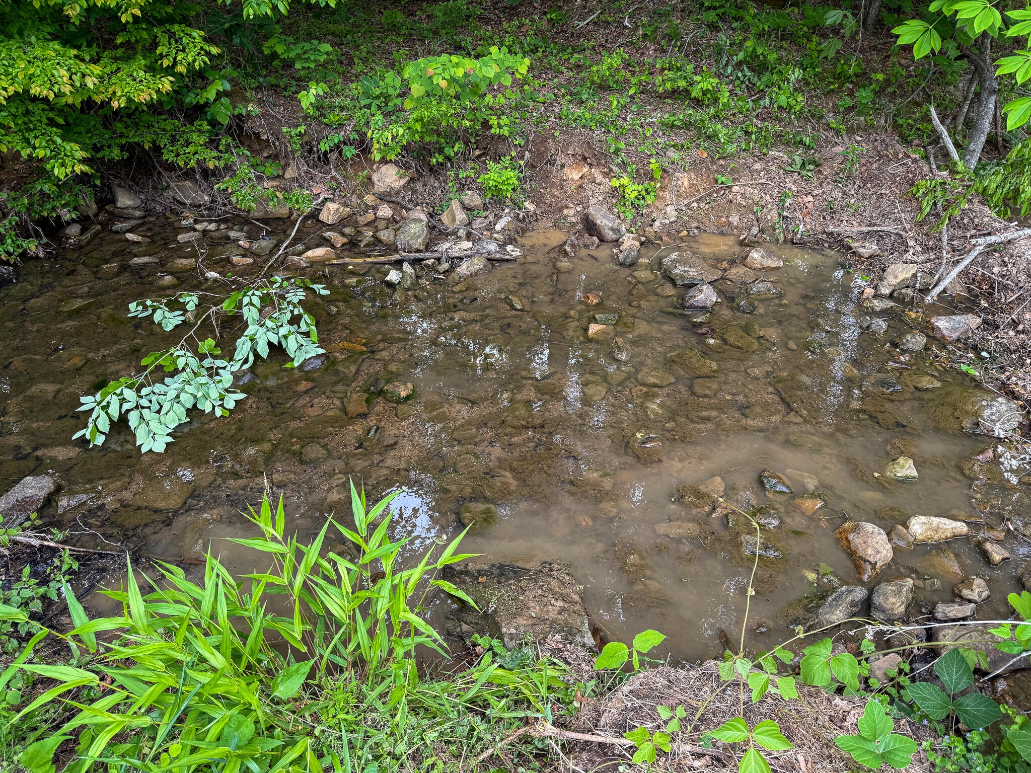 0 Murphy Hollow Trenton GA 30752