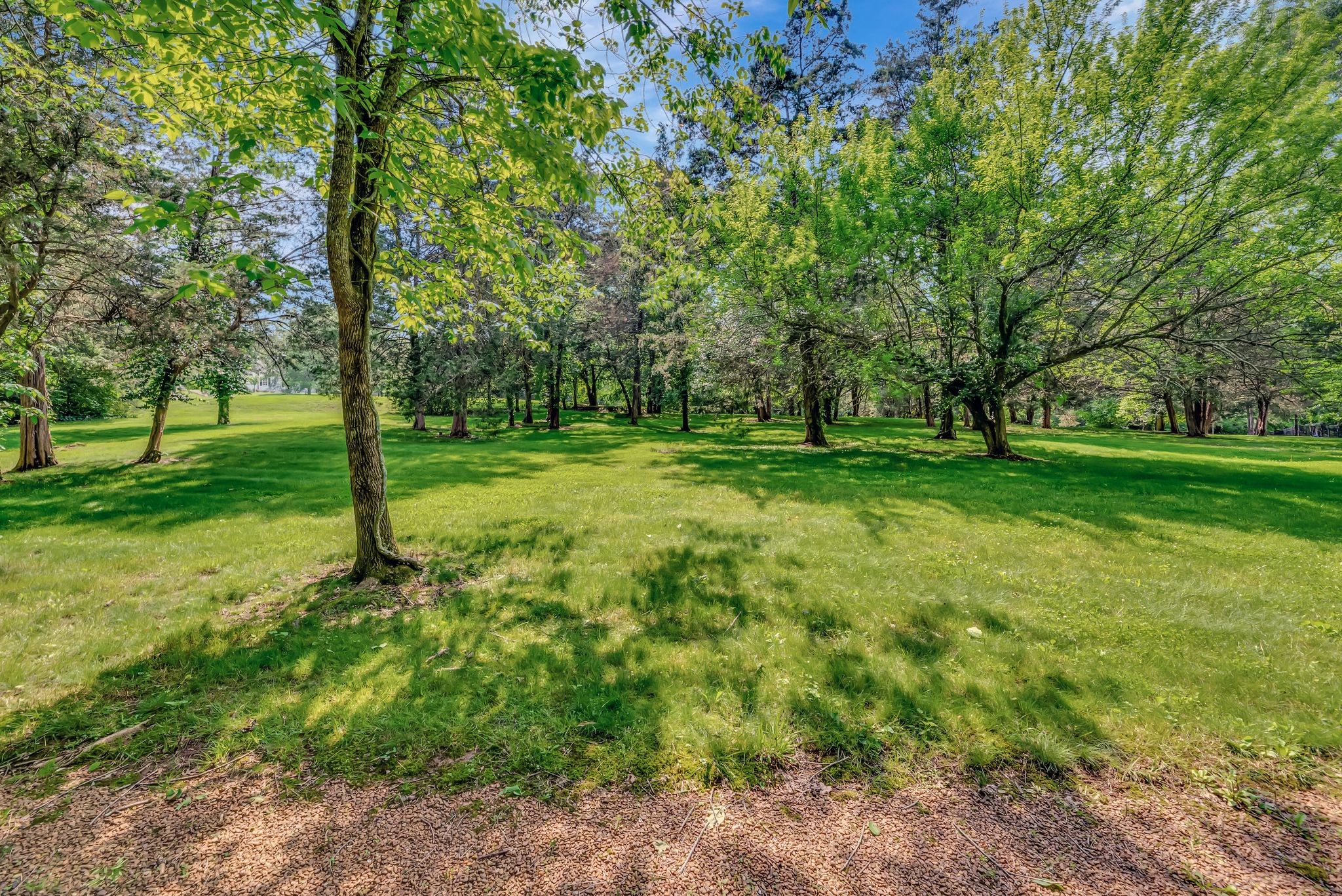 10 Bancroft Place Nashville TN 37215