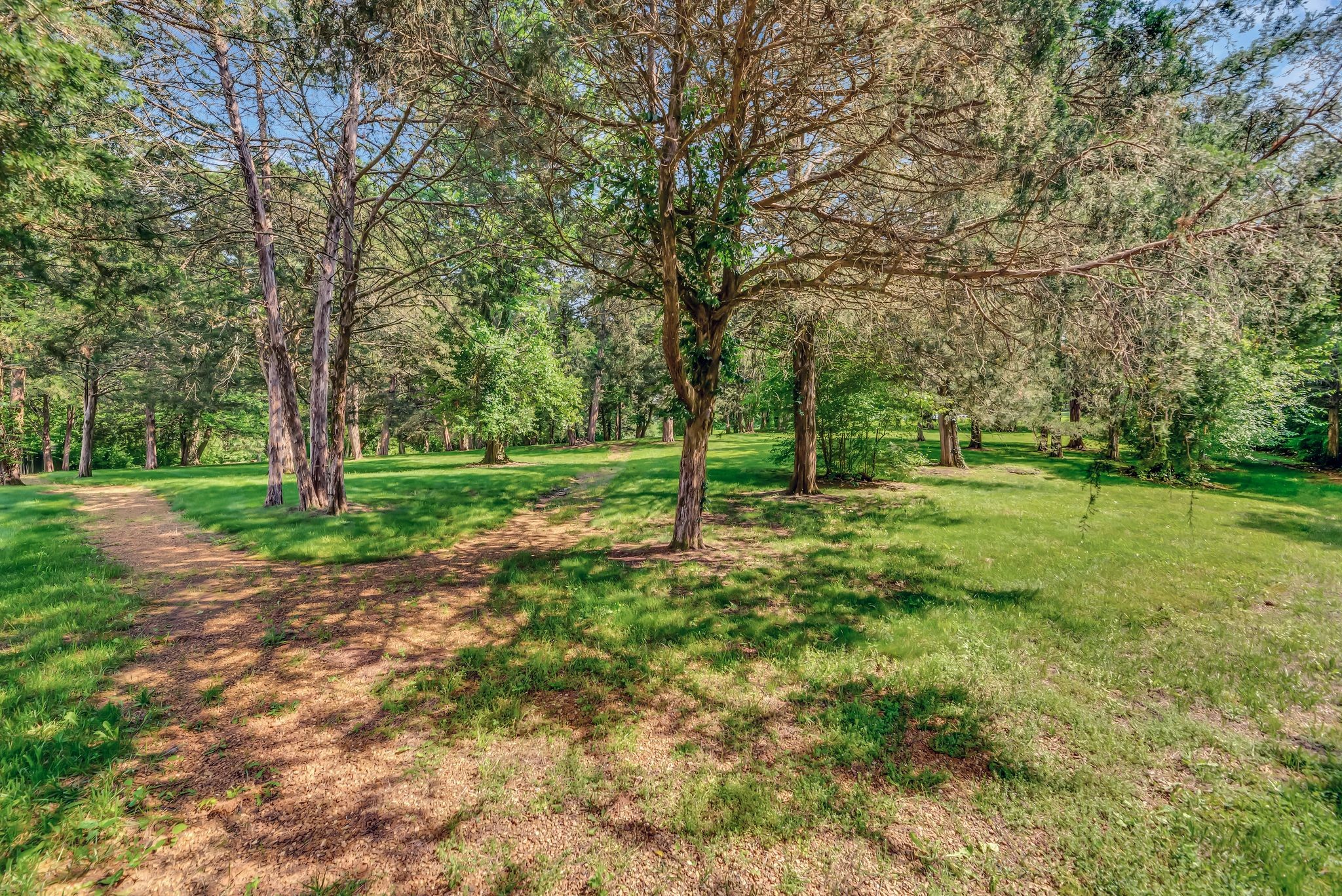 10 Bancroft Place Nashville TN 37215