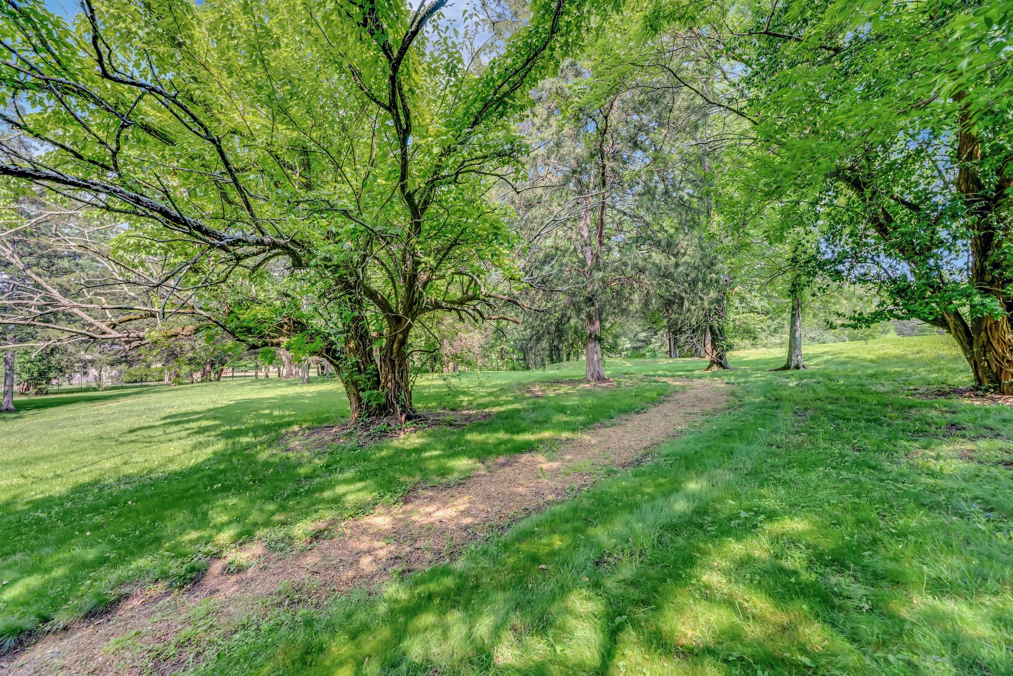 10 Bancroft Place Nashville TN 37215