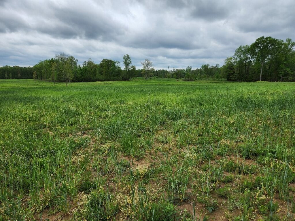 0 Indian Creek Road Huntland TN 37345