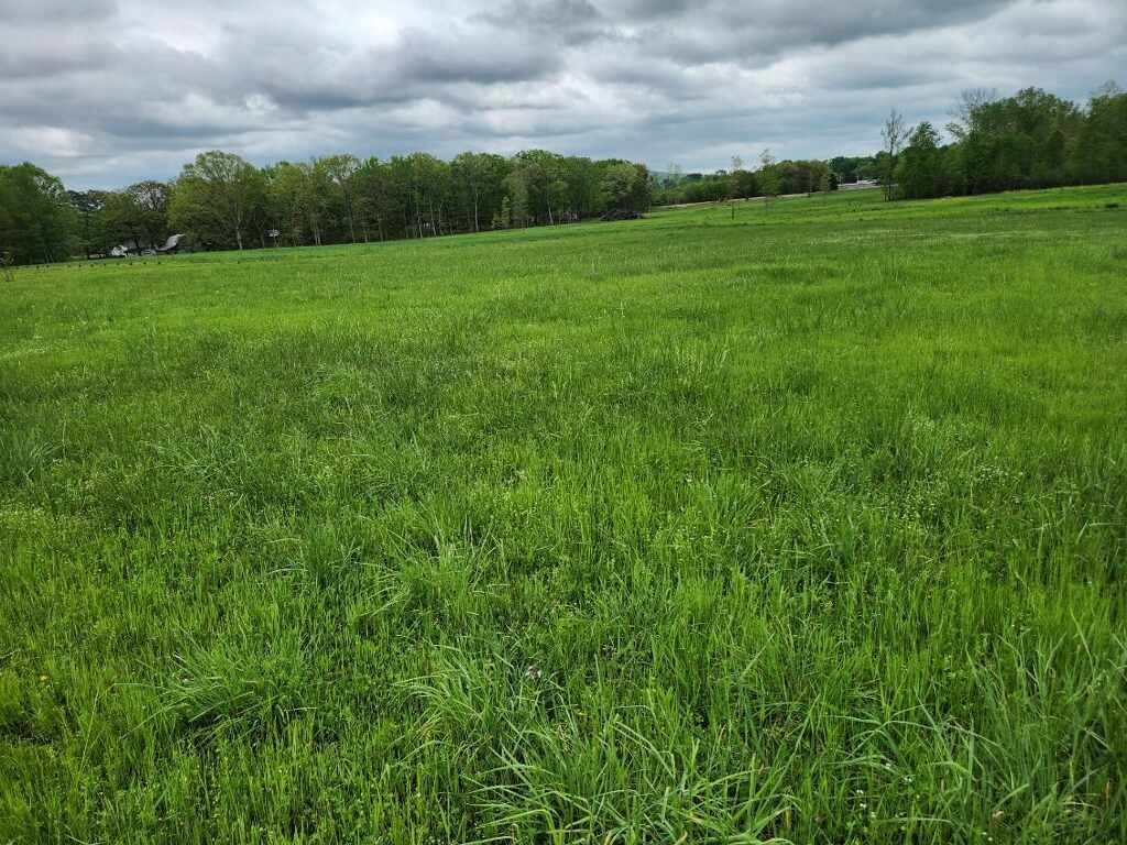 0 Indian Creek Road Huntland TN 37345