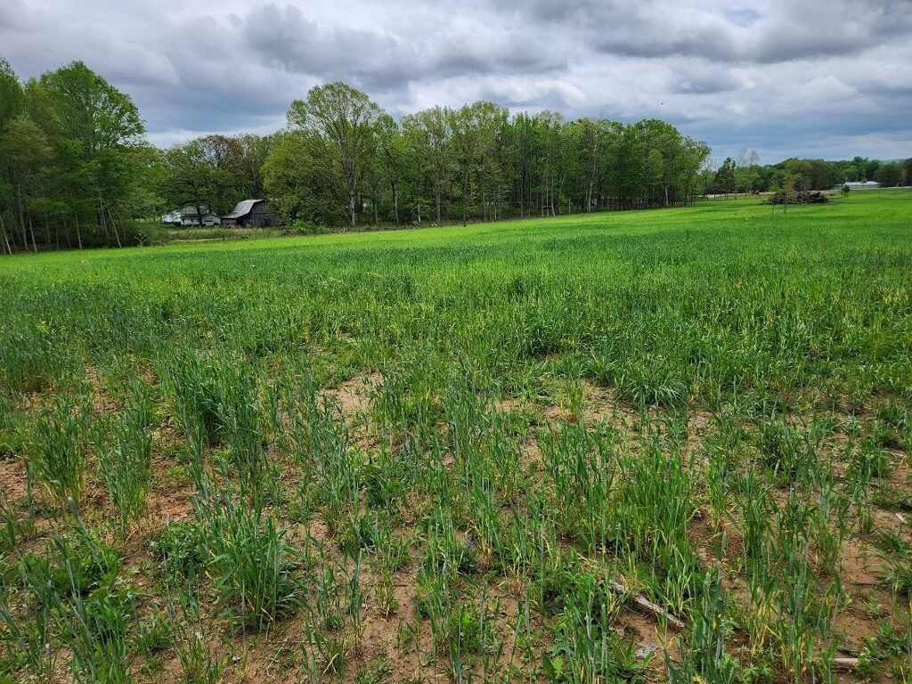 0 Indian Creek Road Huntland TN 37345