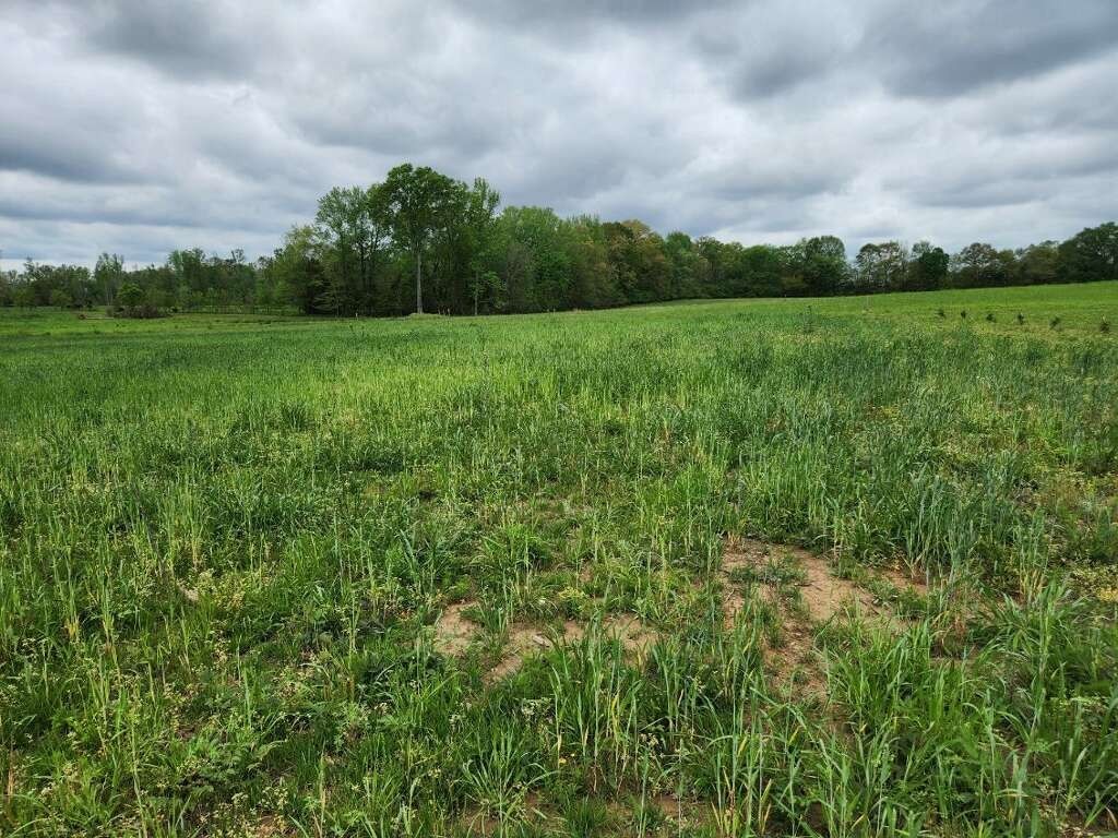 0 Indian Creek Road Huntland TN 37345