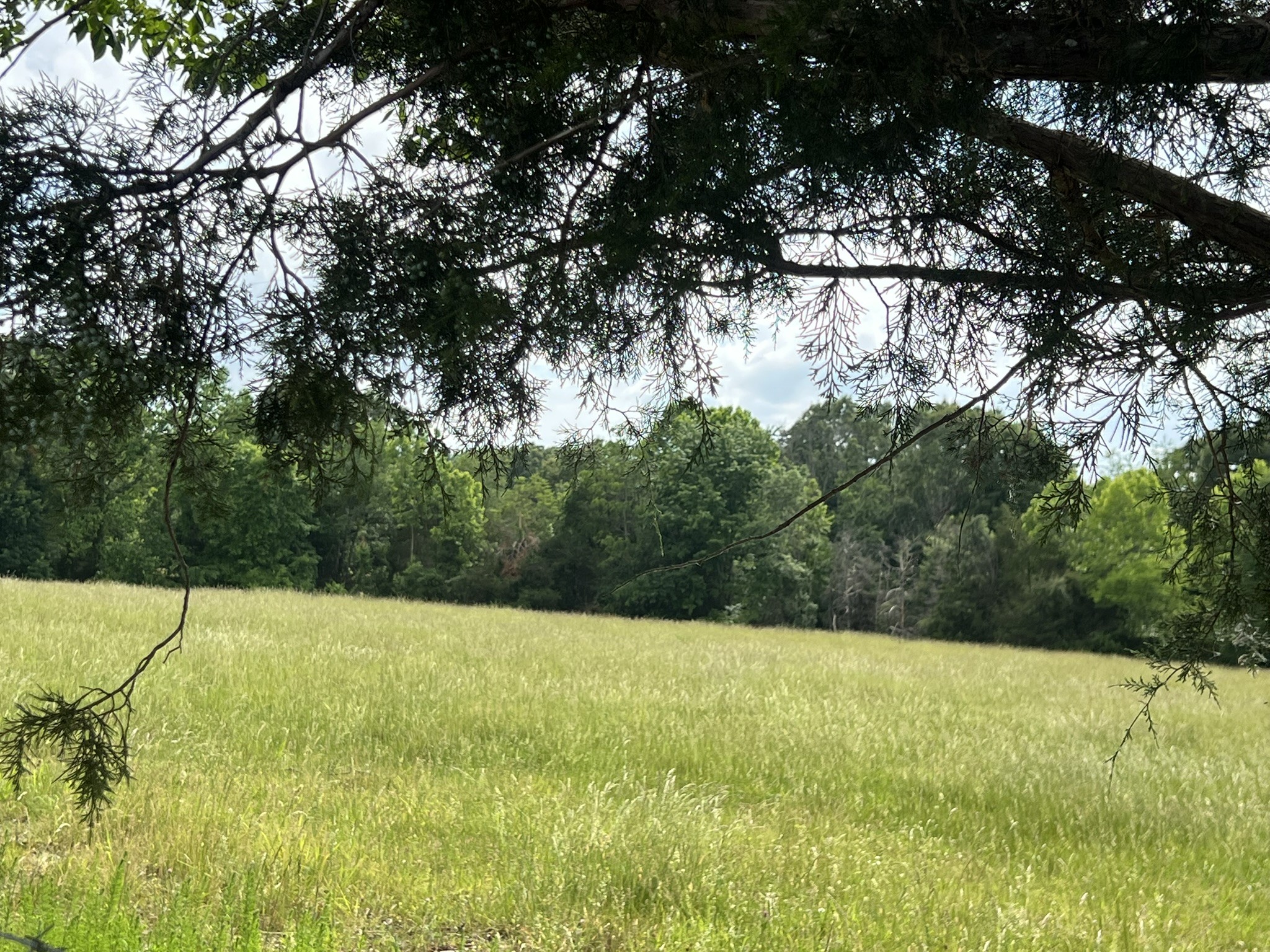 0 W George Durham Road Westmoreland TN 37186