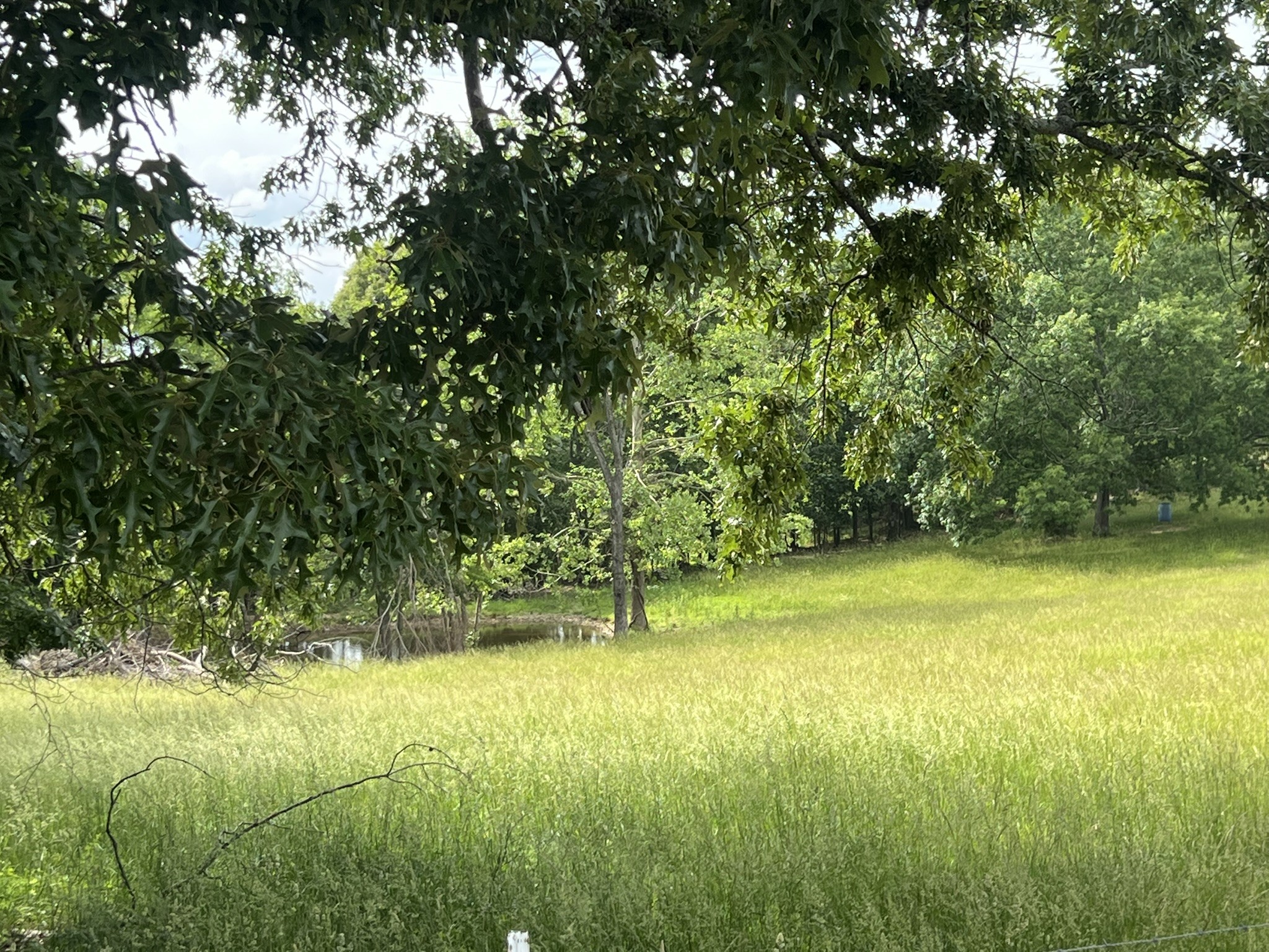 0 W George Durham Road Westmoreland TN 37186