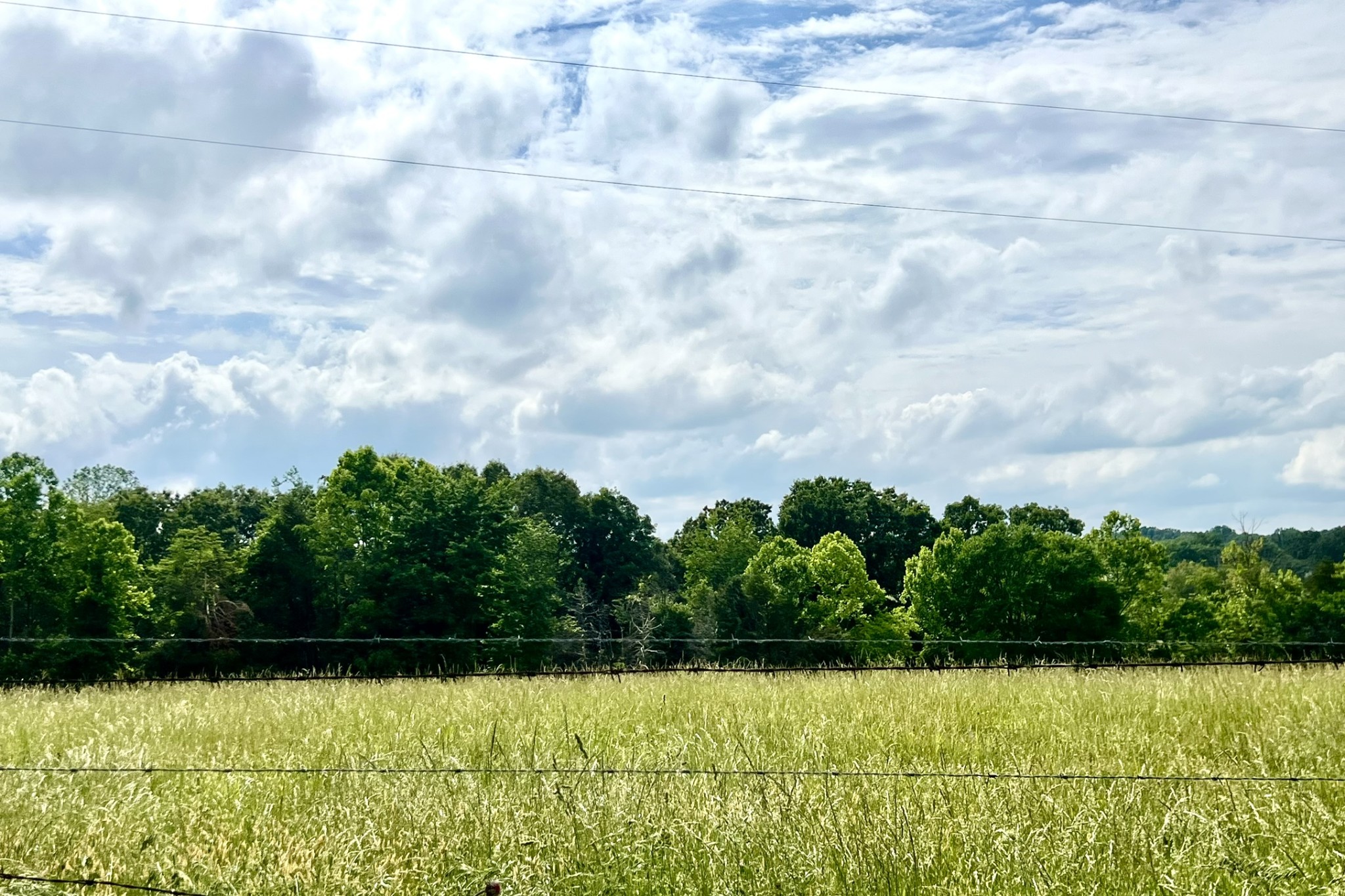 0 W George Durham Road Westmoreland TN 37186