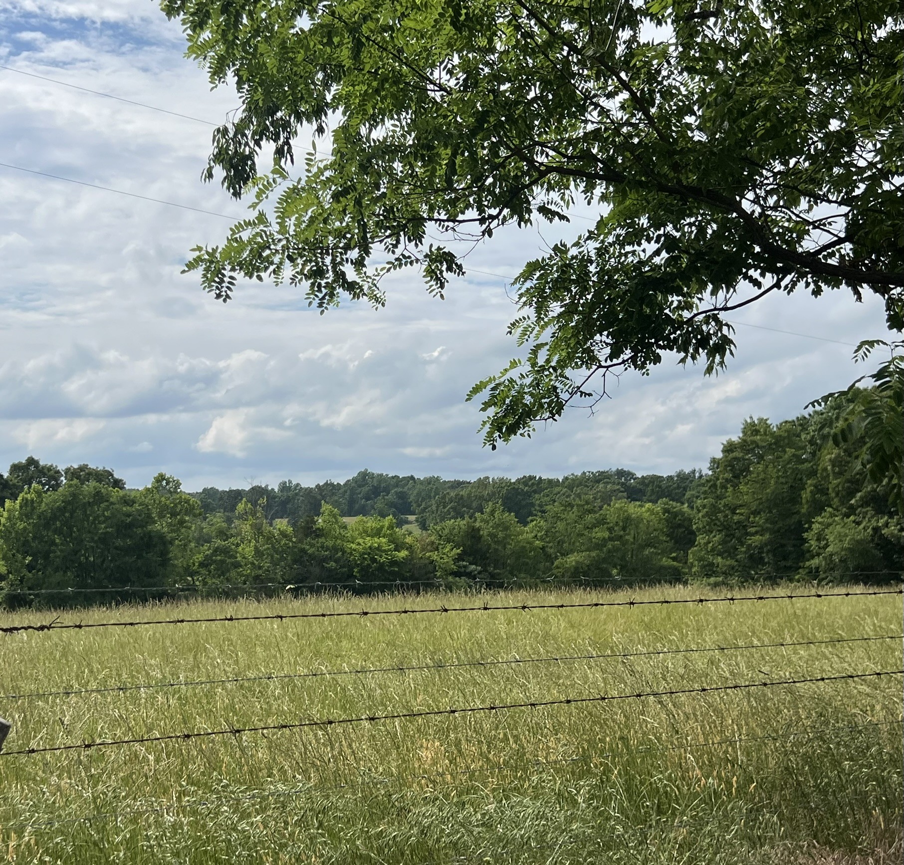 0 W George Durham Road Westmoreland TN 37186