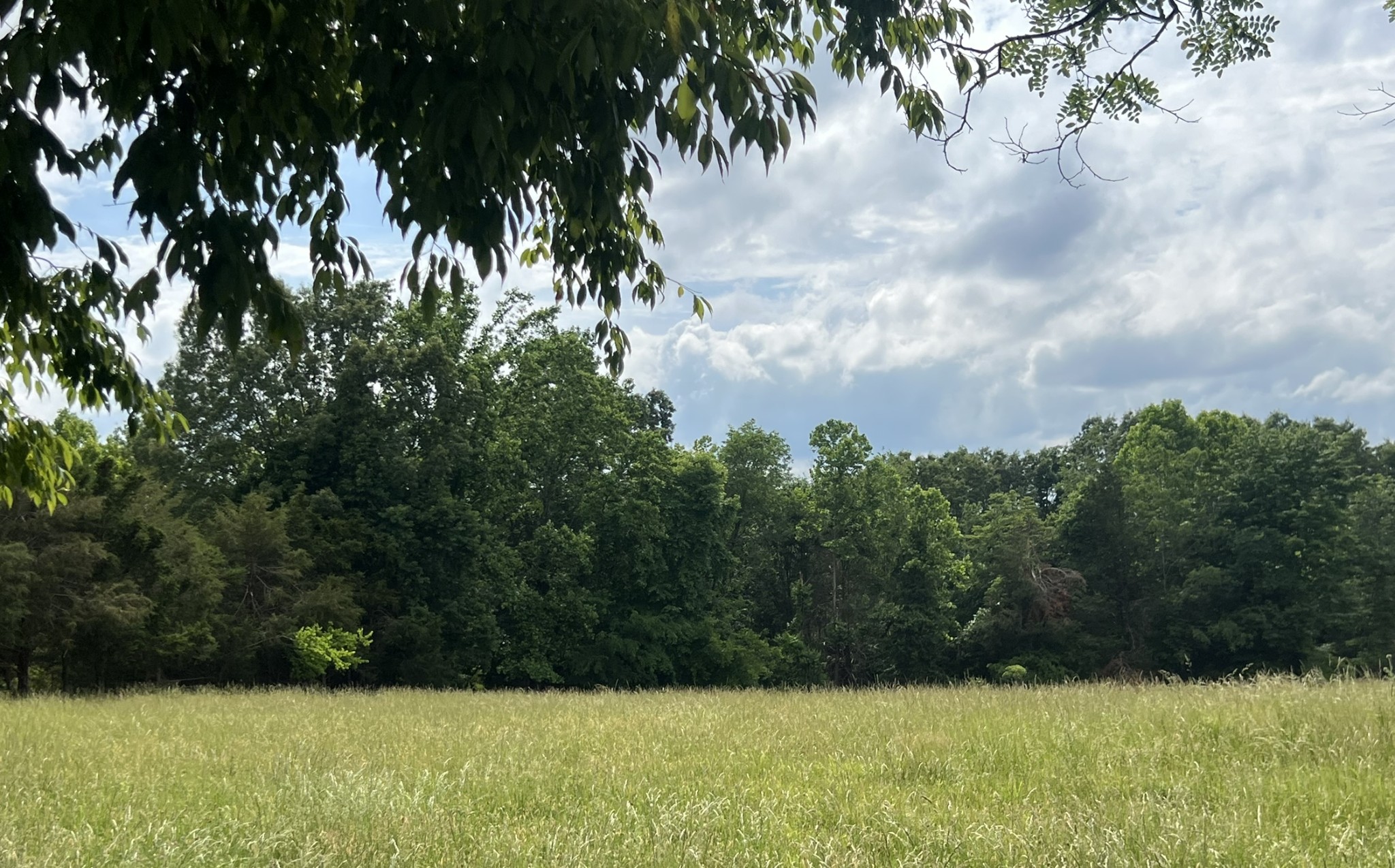 0 W George Durham Road Westmoreland TN 37186