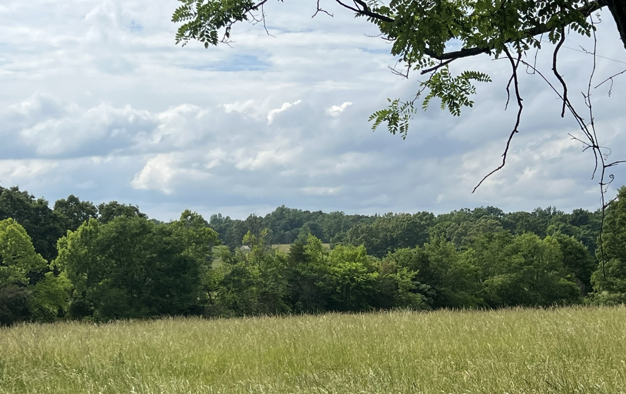 0 W George Durham Road Westmoreland TN 37186