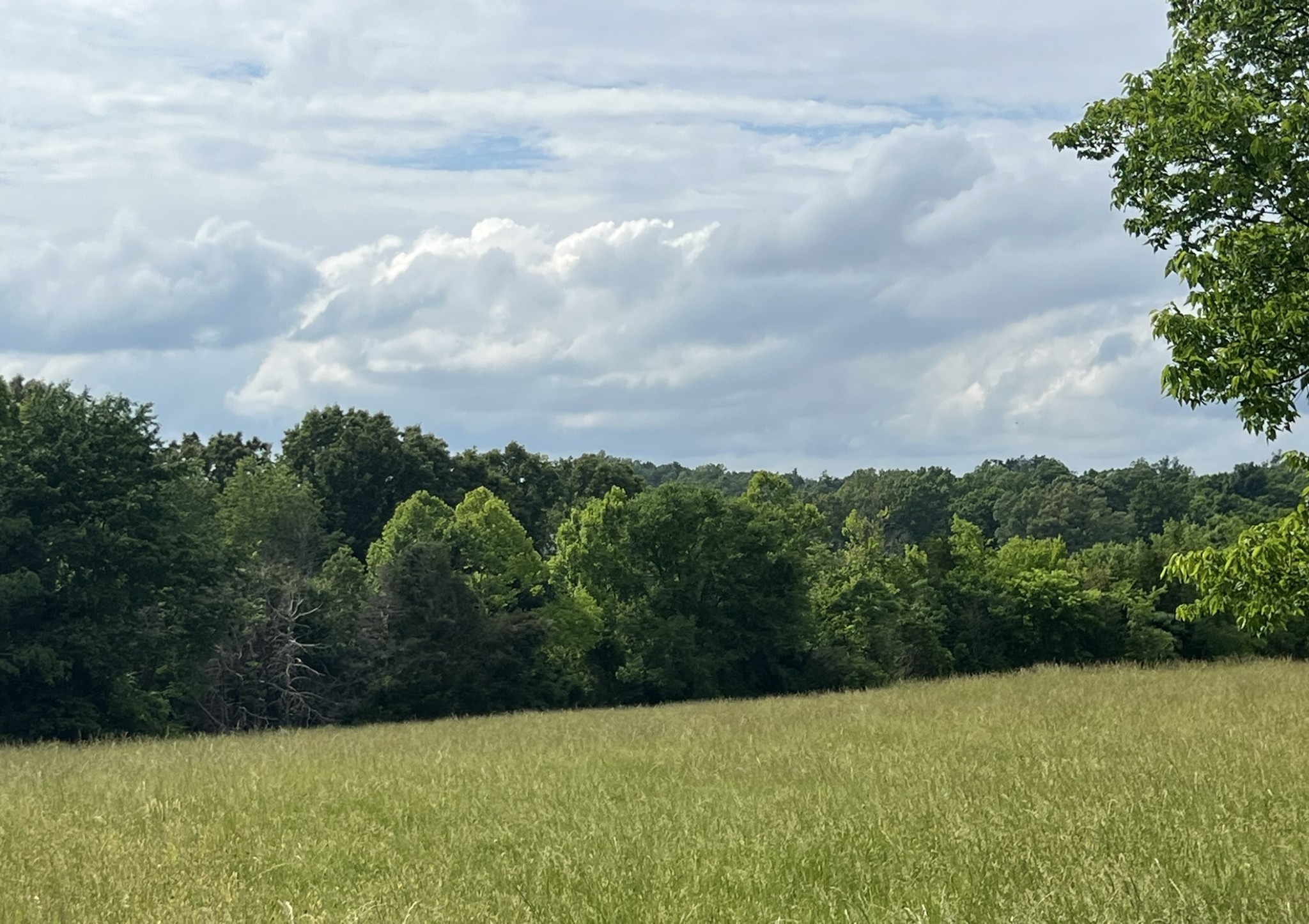 0 W George Durham Road Westmoreland TN 37186
