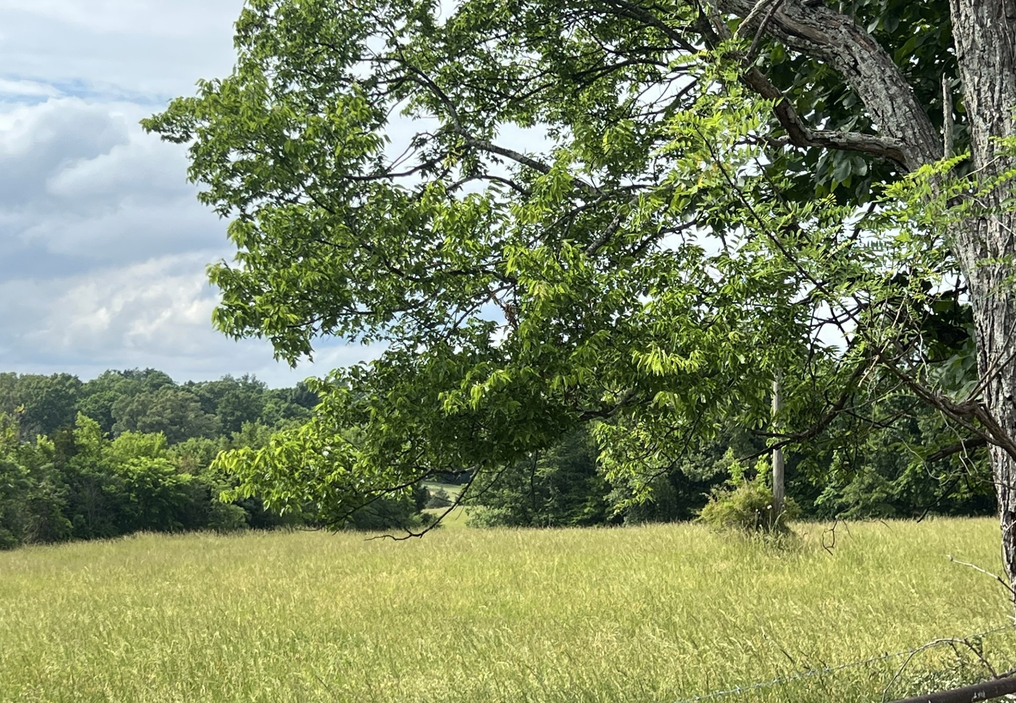 0 W George Durham Road Westmoreland TN 37186