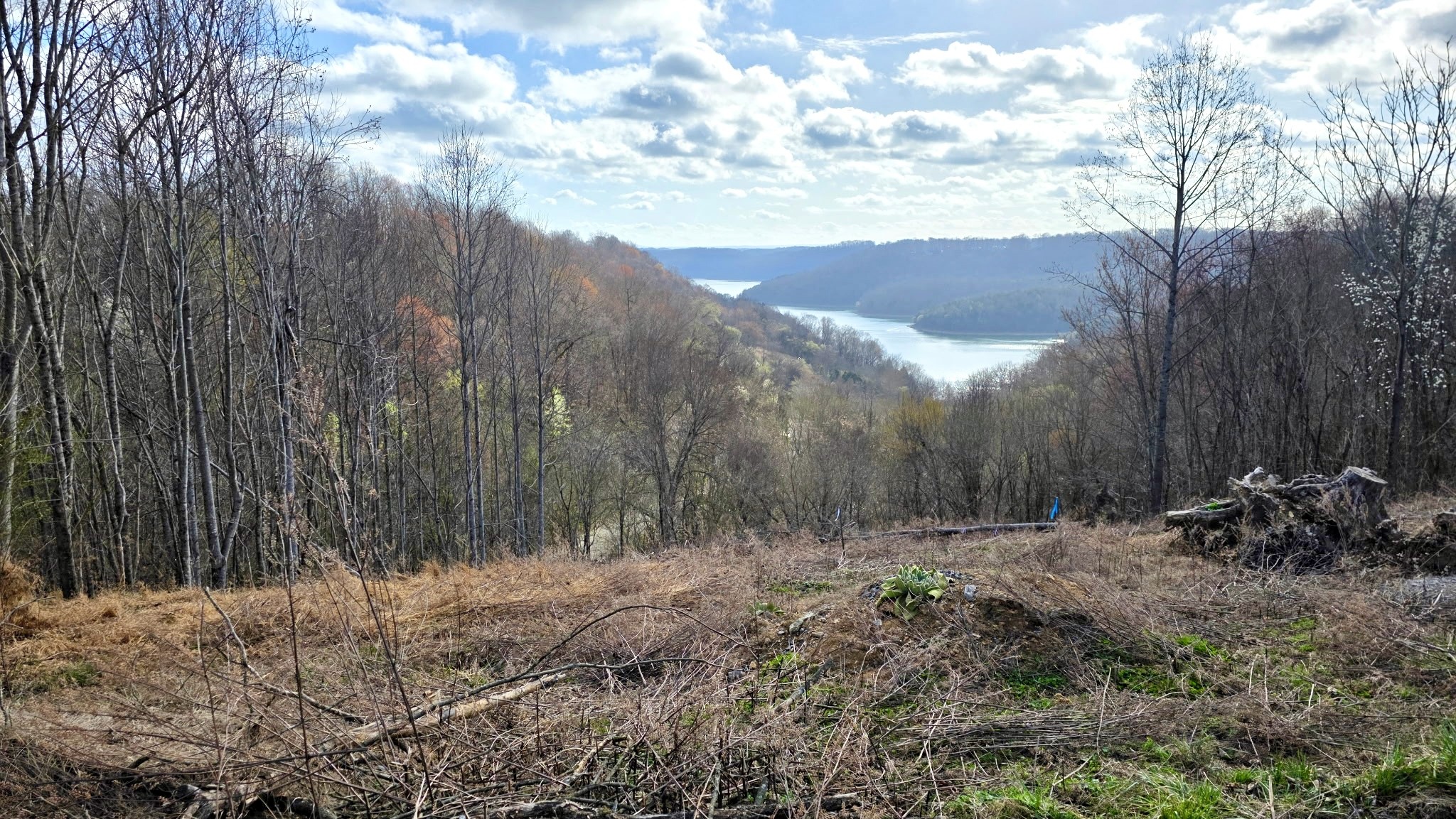 109 Deer Path Court Smithville TN 37166