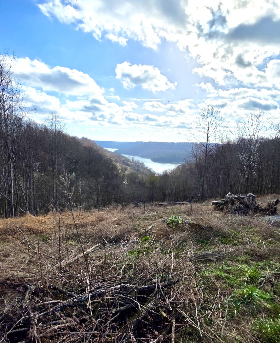 109 Deer Path Court Smithville TN 37166