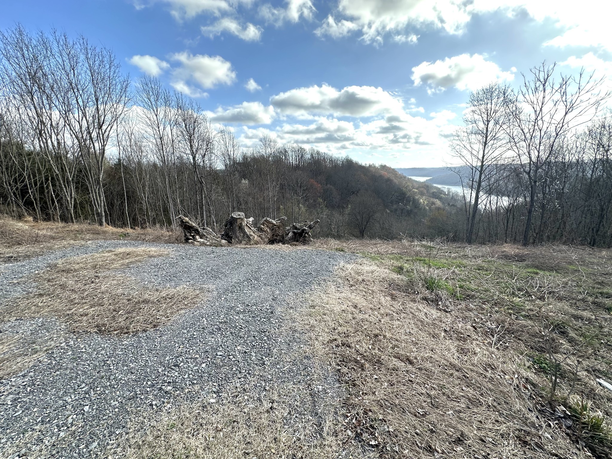 109 Deer Path Court Smithville TN 37166