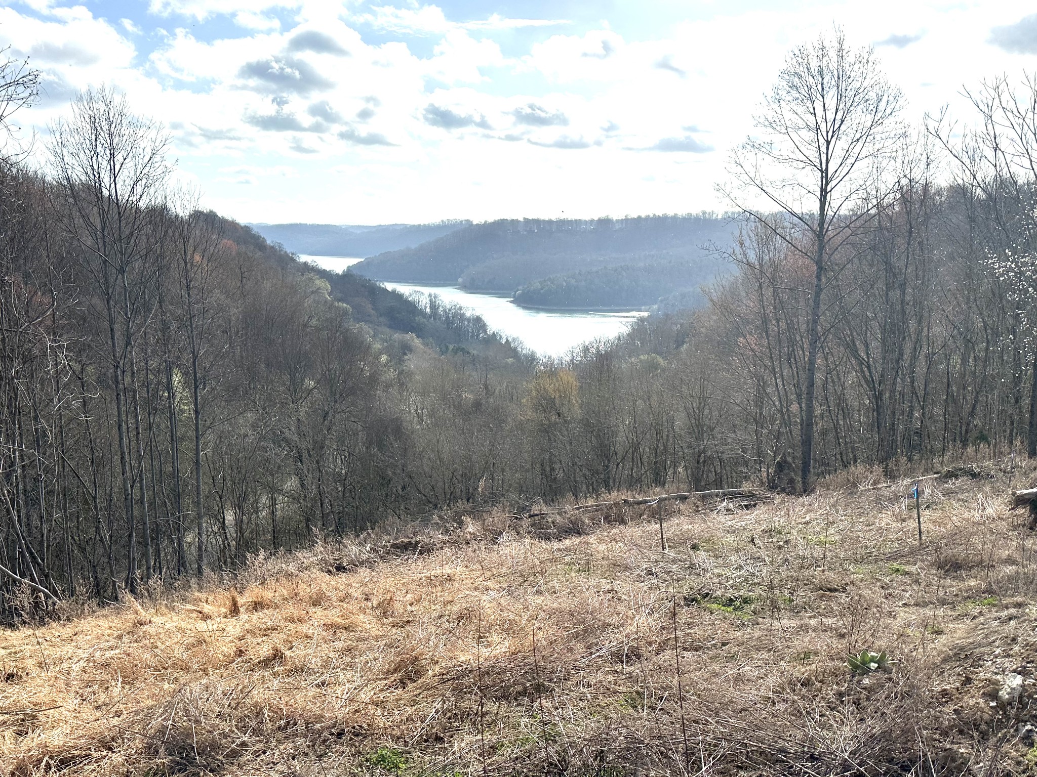109 Deer Path Court Smithville TN 37166