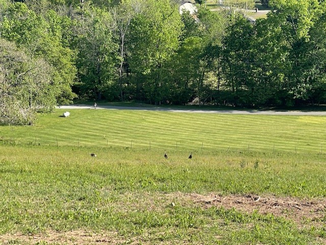 0 Highway 31w White House TN 37188