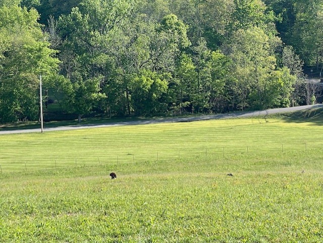 0 Highway 31w White House TN 37188