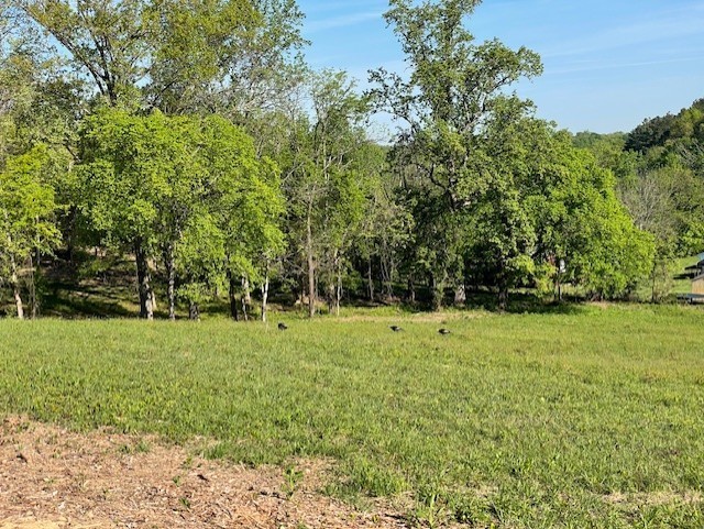 0 Highway 31w White House TN 37188