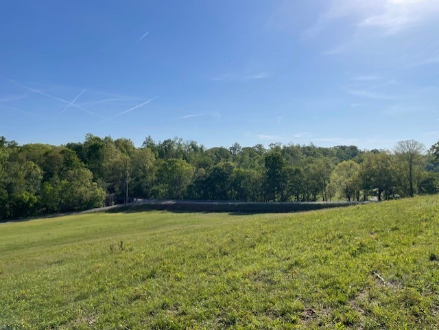 0 Highway 31w White House TN 37188