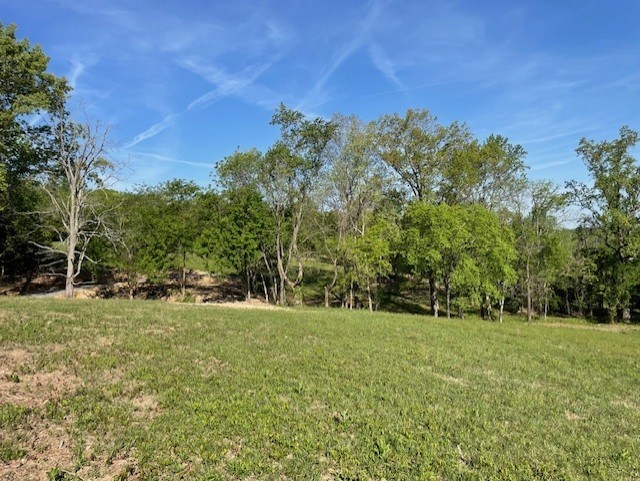 0 Highway 31w White House TN 37188