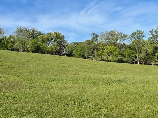 0 Highway 31w White House TN 37188